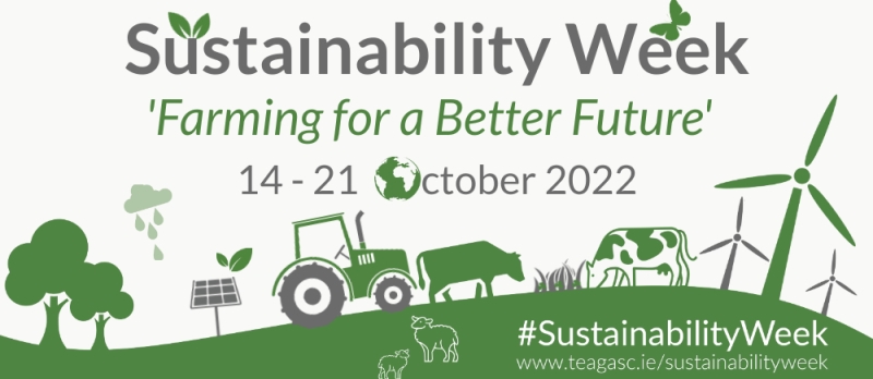 2022路标可持续发展周星期五,10月14日,星期五,2022年10月21日农业,共创美好未来