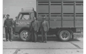 意大利兄弟的照片,爱丽斯和保罗豇豆属牛的卡车