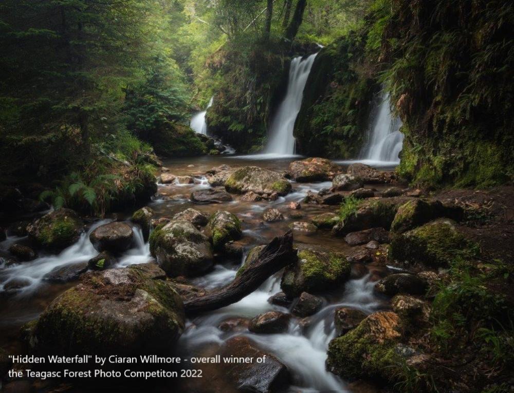森林摄影比赛冠军Ciaran Willmore，隐藏的瀑布